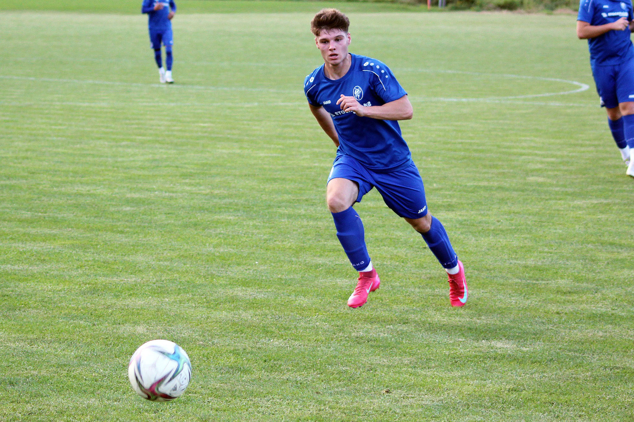 sparingi dabrovia zima