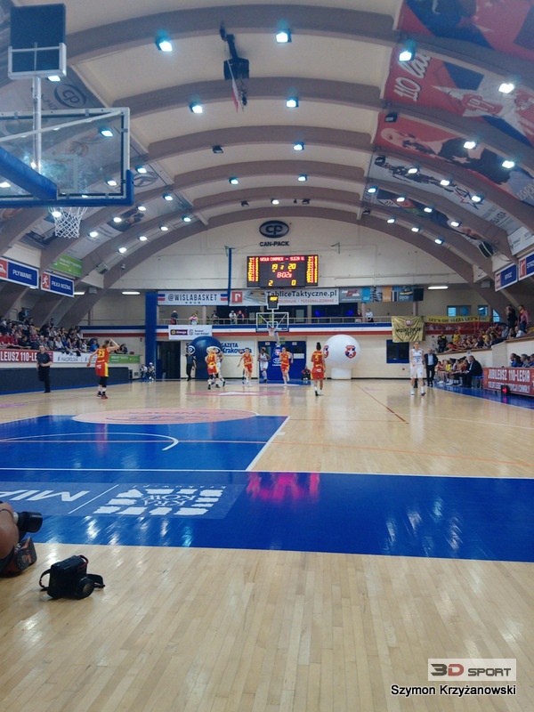 3D wisla sleza kosz 3