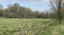 Mydlniczanka Mydlniki. 2023-04-20