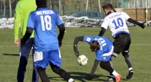 Sparing: Stal Mielec - Puszcza Niepołomice. 2017-01-28