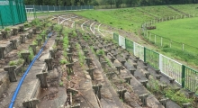 Szombierki Bytom. 2019-09-08