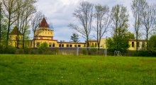 Ospel Wierbka. 2021-05-18