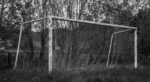 Ospel Wierbka. 2021-05-18