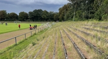 D: Bezirkssportanlage Oststrasse (Preussen Sutum). 2023-08.27
