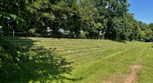 D: Walter Bismark Stadion (1.FC Celle II). 2024-09-01