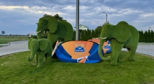 PP: Bruk-Bet Termalica Nieciecza - GKS_Katowice. 2024-09-24