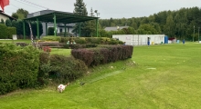 3L: Podlesianka Katowice - Stilon Gorzów Wielkopolski. 2024-09-27
